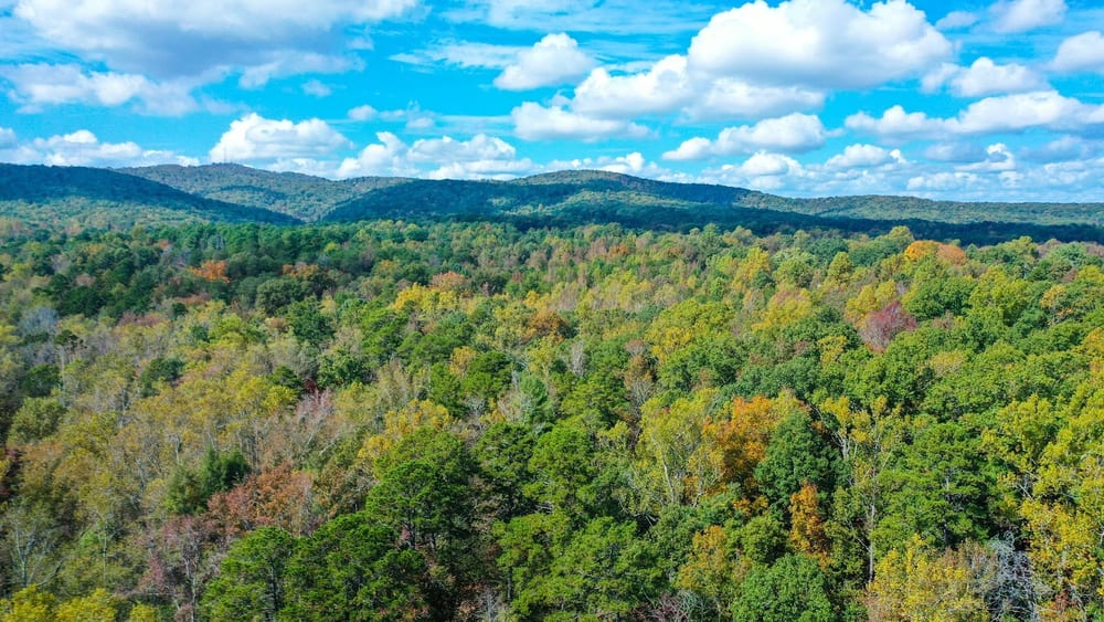 Paris Mountain State Park, photo 3