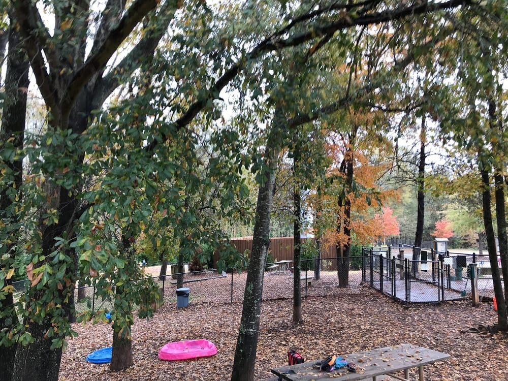 Pavilion Dog Park, photo 3