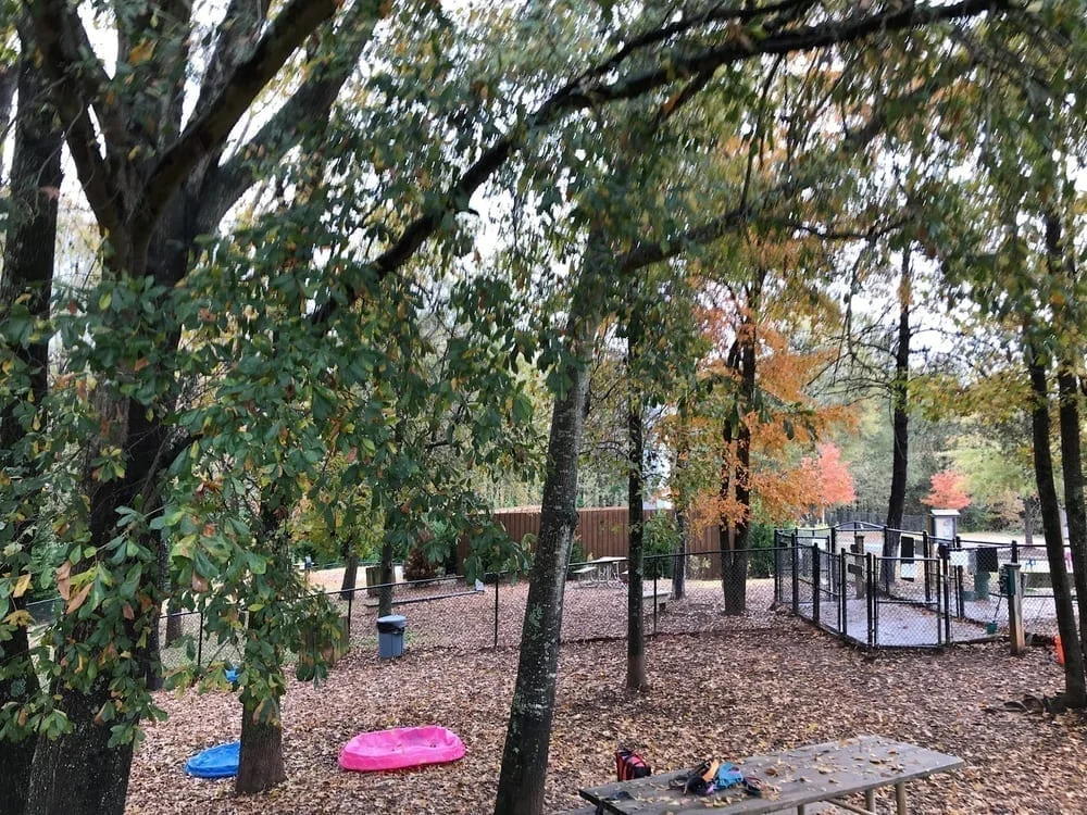 Pavilion Dog Park, photo 3