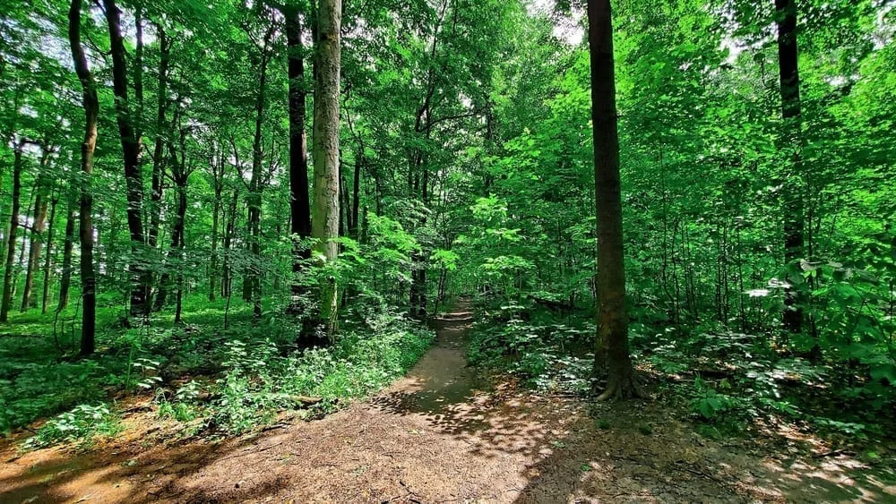 Broad Ripple Park, photo 2