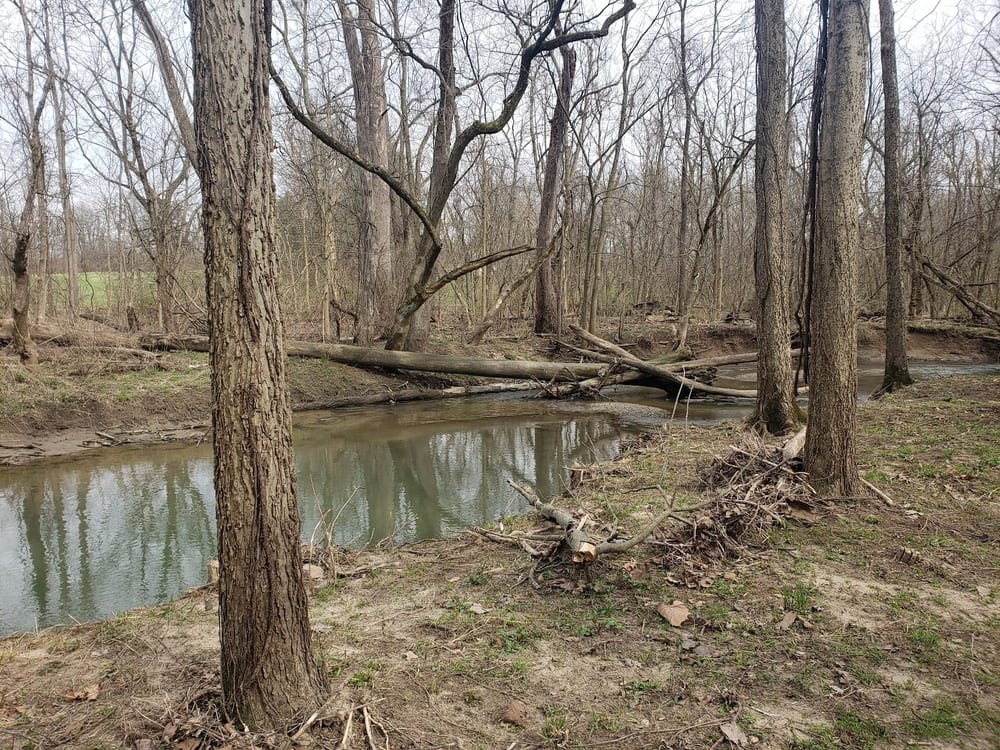 Paul Ruster Park, photo 3