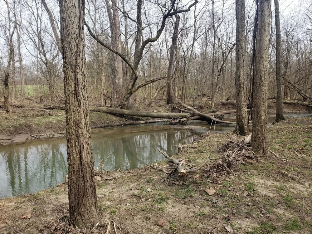 Paul Ruster Park, photo 3