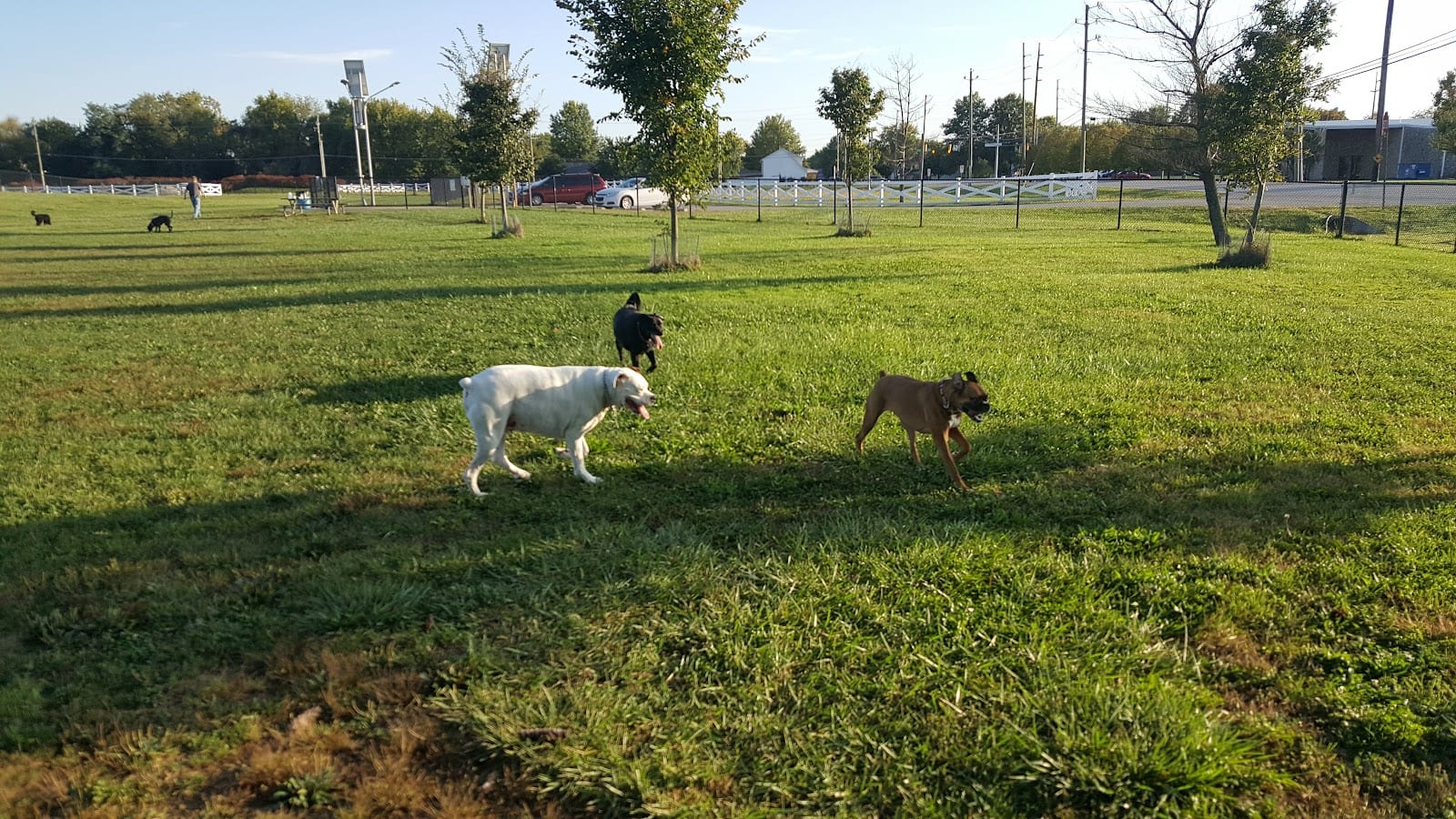 Smock Bark Park