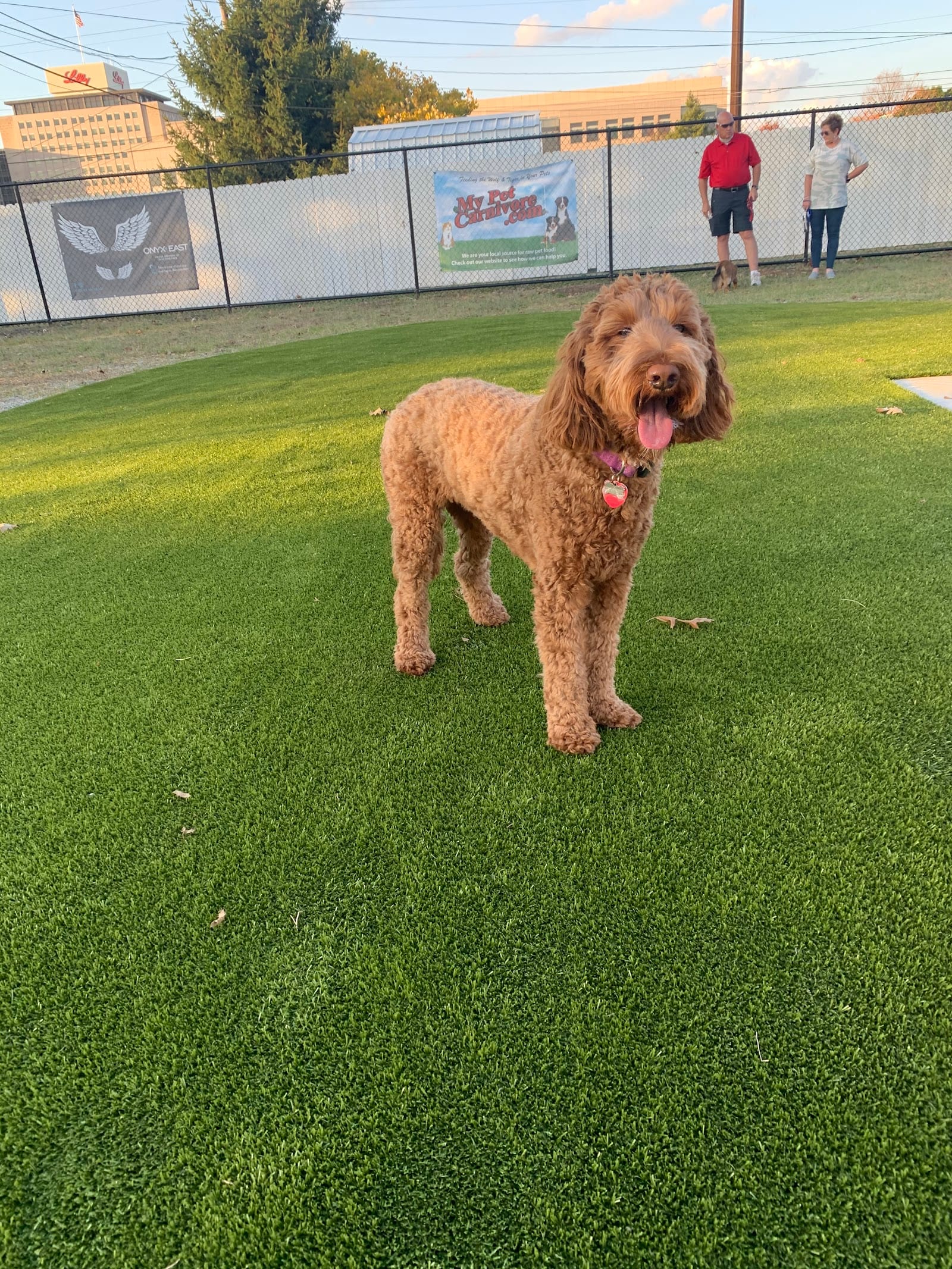 The Dog Park at Immanuel (Low-Cost Membership-Based Dog Park, Visitor Options, See Website for Details)