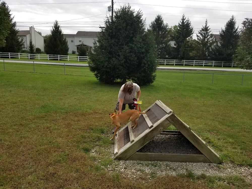 Waggin' Tails Bark Park, photo 2