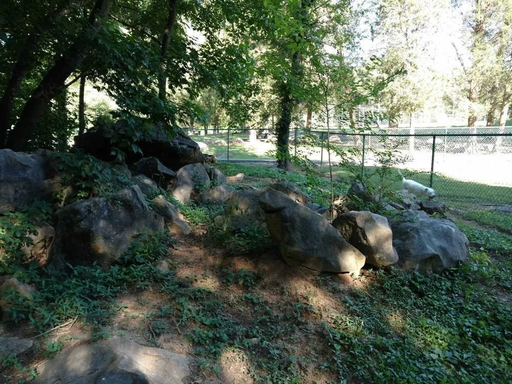 Charter E. Doyle Park, photo 2