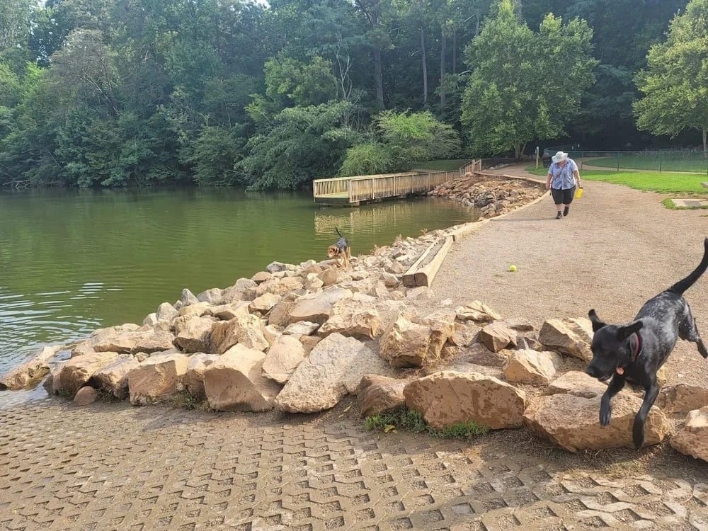 Concord Dog Park, photo 2