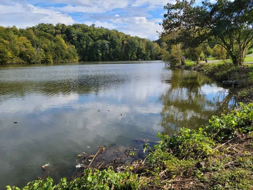 I.C. King Park, photo 2
