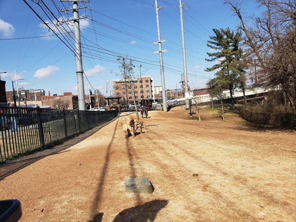 Petsafe Downtown Dog Park, photo 3