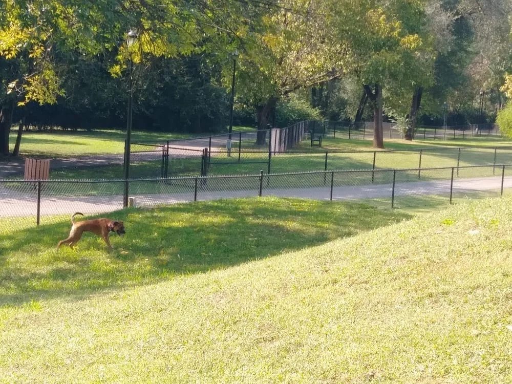 PetSafe Pistol Creek Dog Park, photo 2