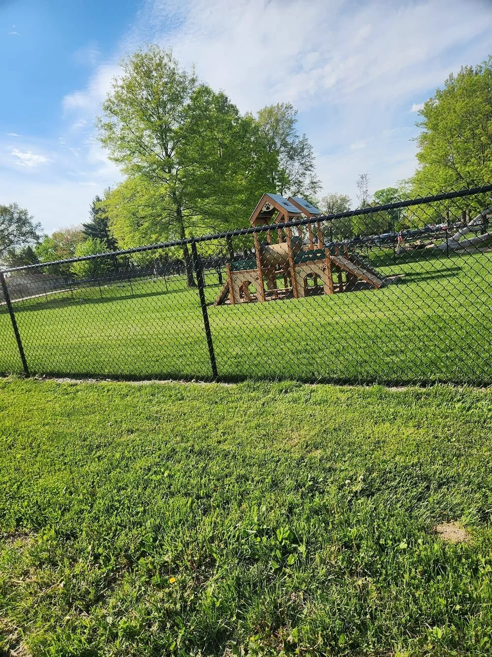 McPaw Dog Park, photo 2