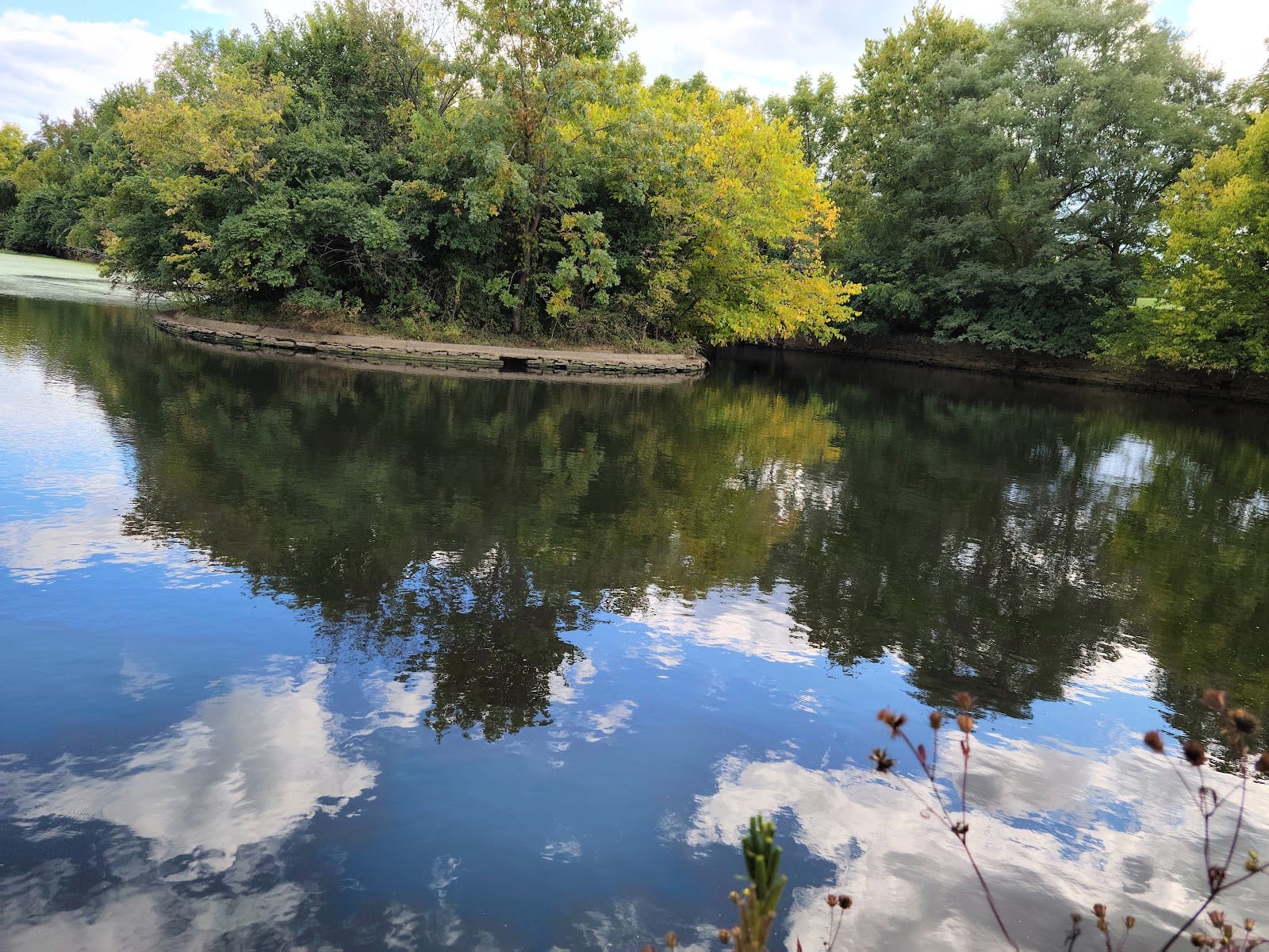 Coldstream Dog Park