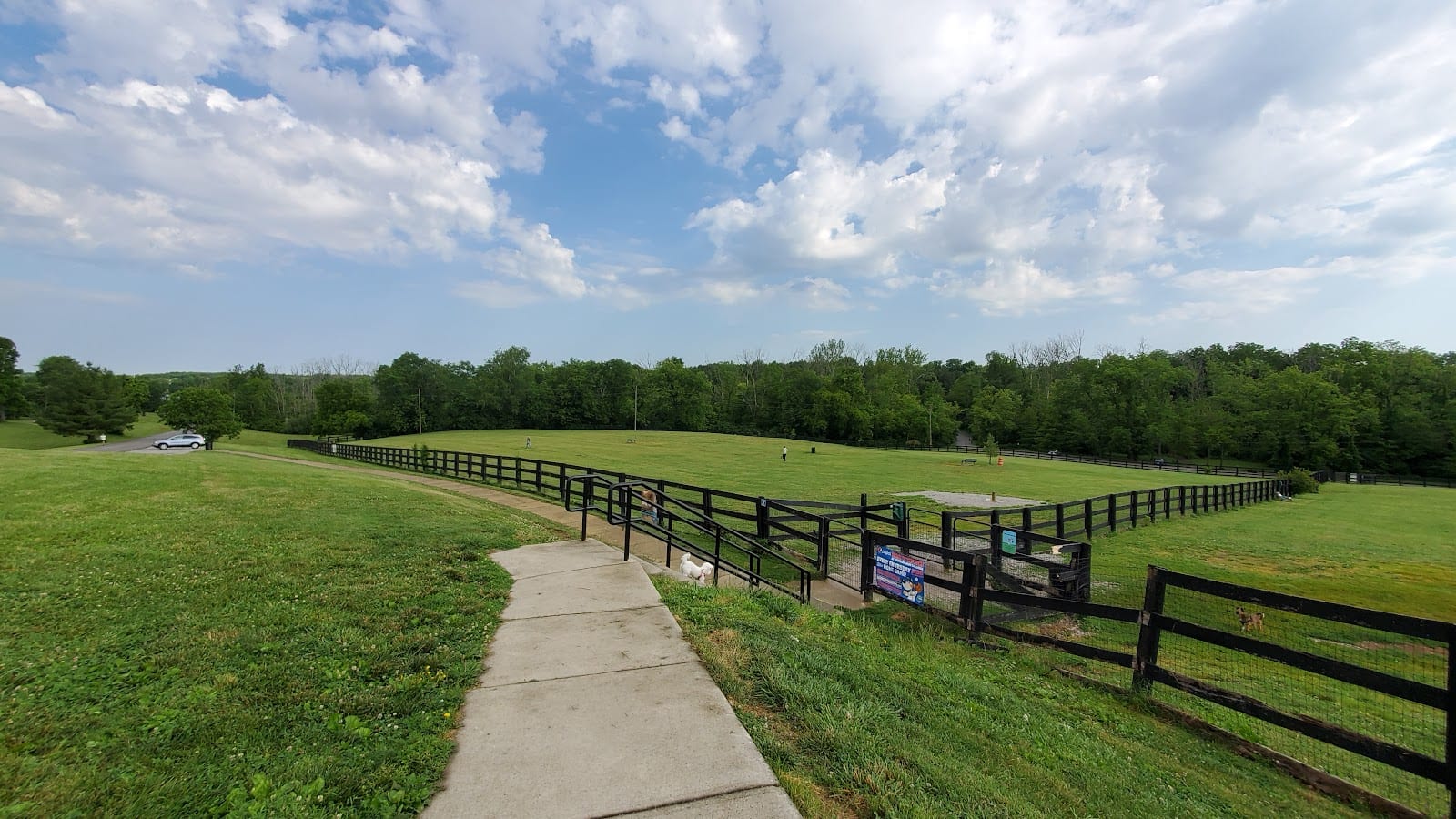 Dog park in Lexington