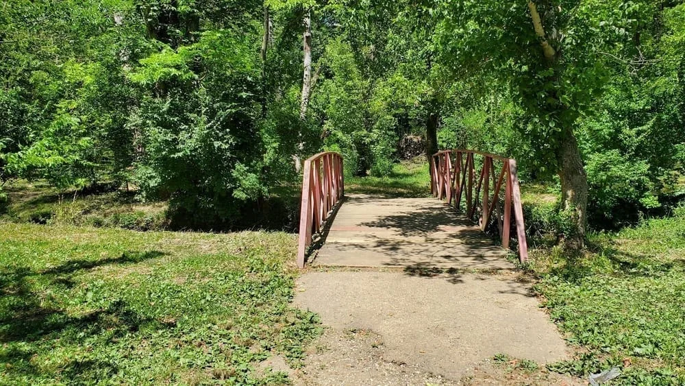 Jacobson Park Dog Park, photo 2