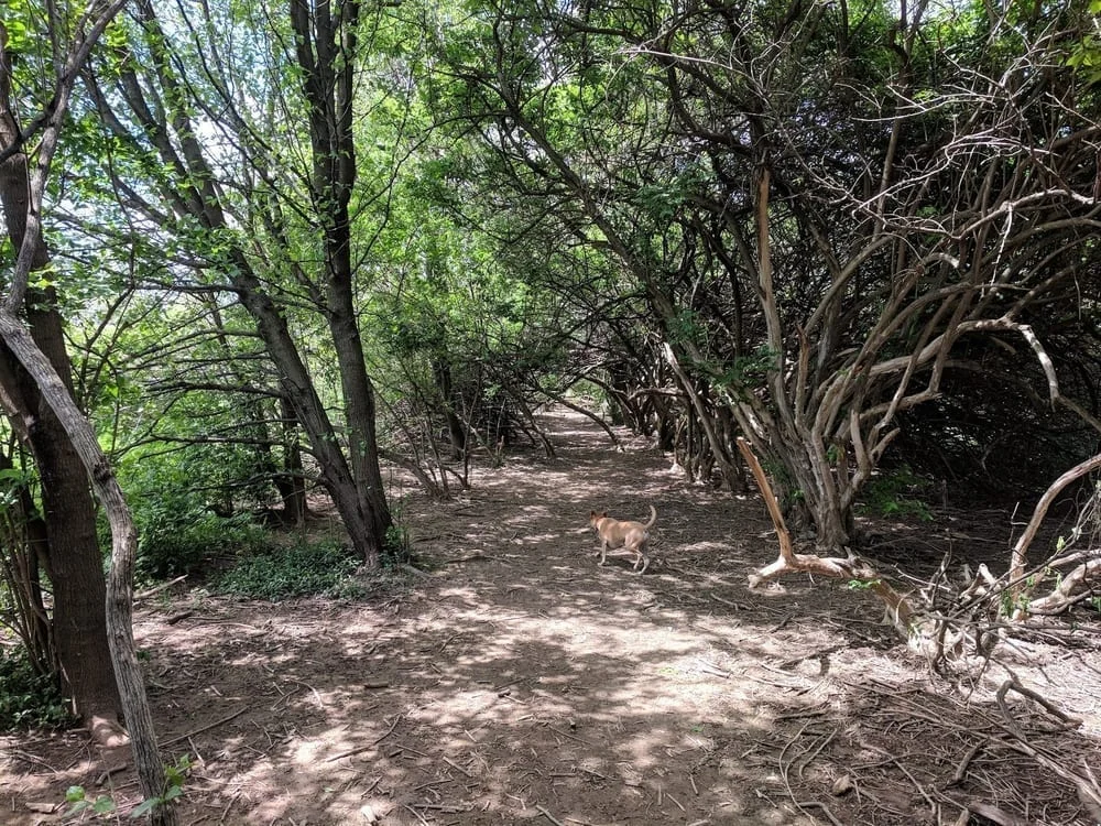 Wellington Park, photo 3