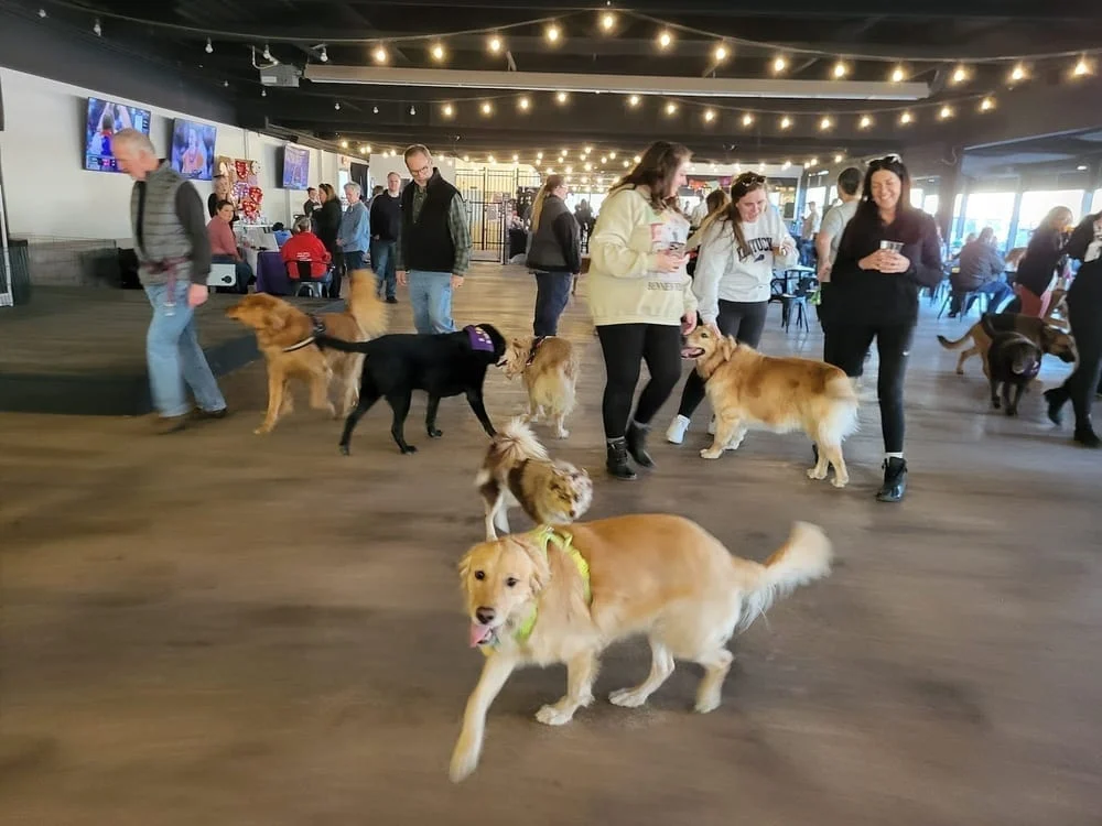 Club K9 Dog Park Bar, photo 3