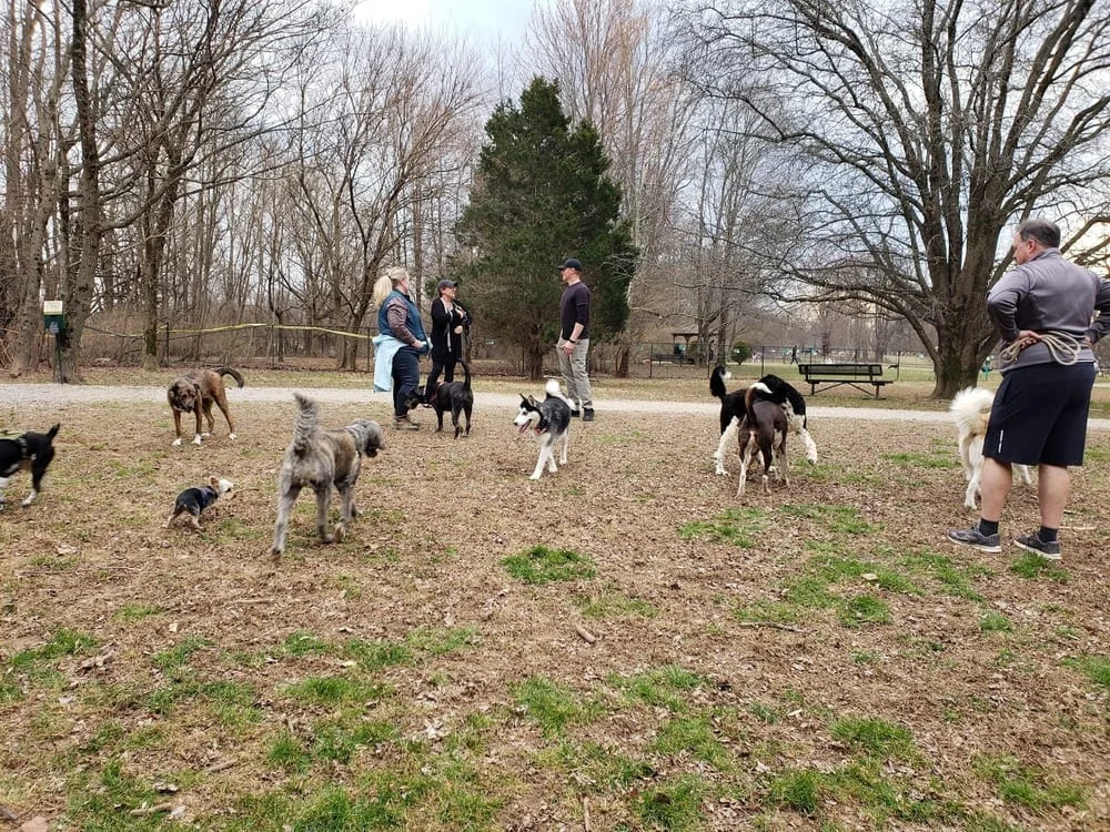 Tom Sawyer Dog Park, photo 2