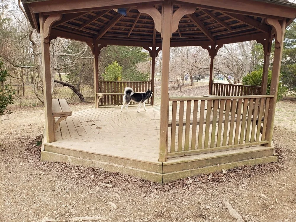 Tom Sawyer Dog Park, photo 3