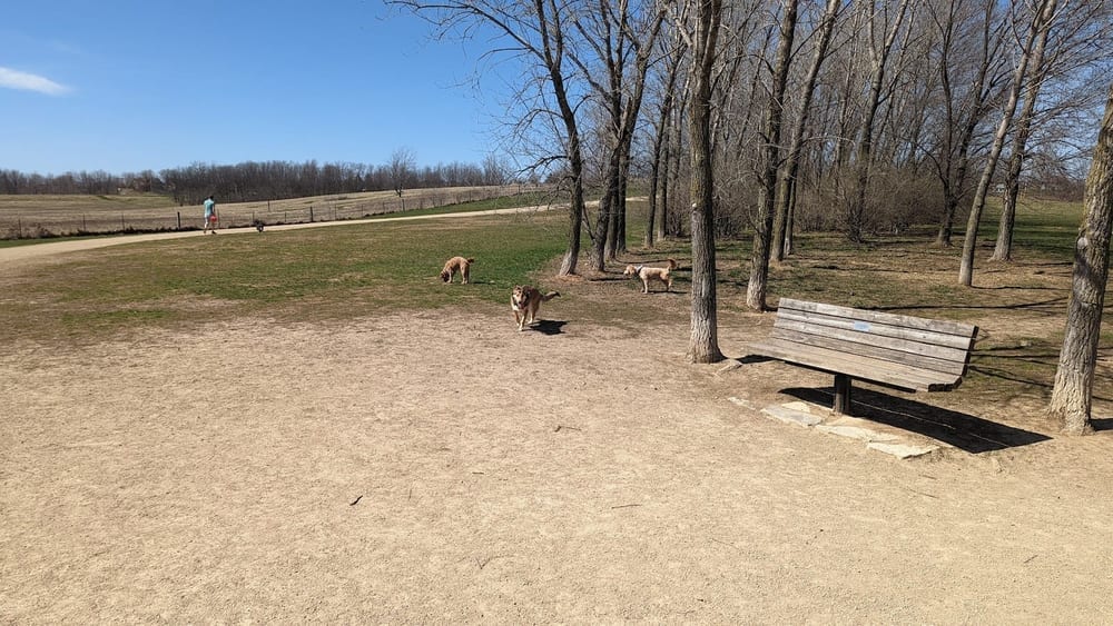 Badger Prairie Dog Park, photo 3