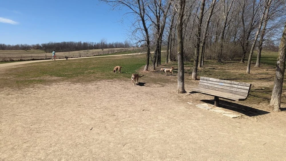 Badger Prairie Dog Park, photo 3