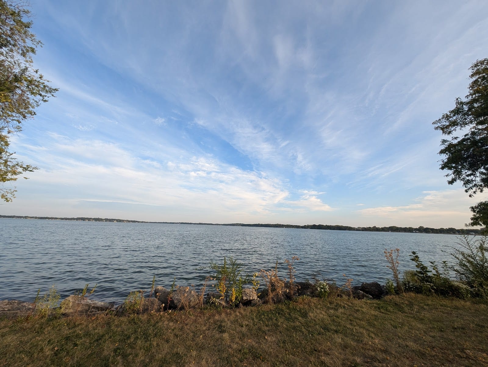 Brittingham Park Dog Park