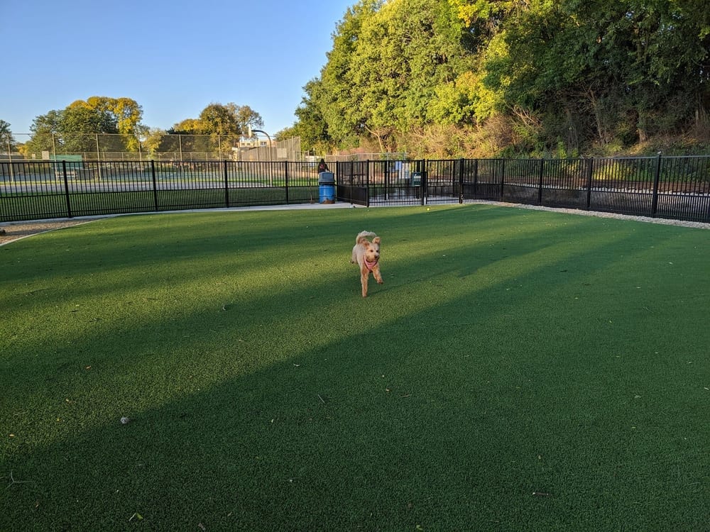 Brittingham Park Dog Park, photo 2