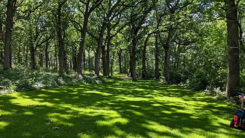 Capital Springs Recreation Area, photo 2