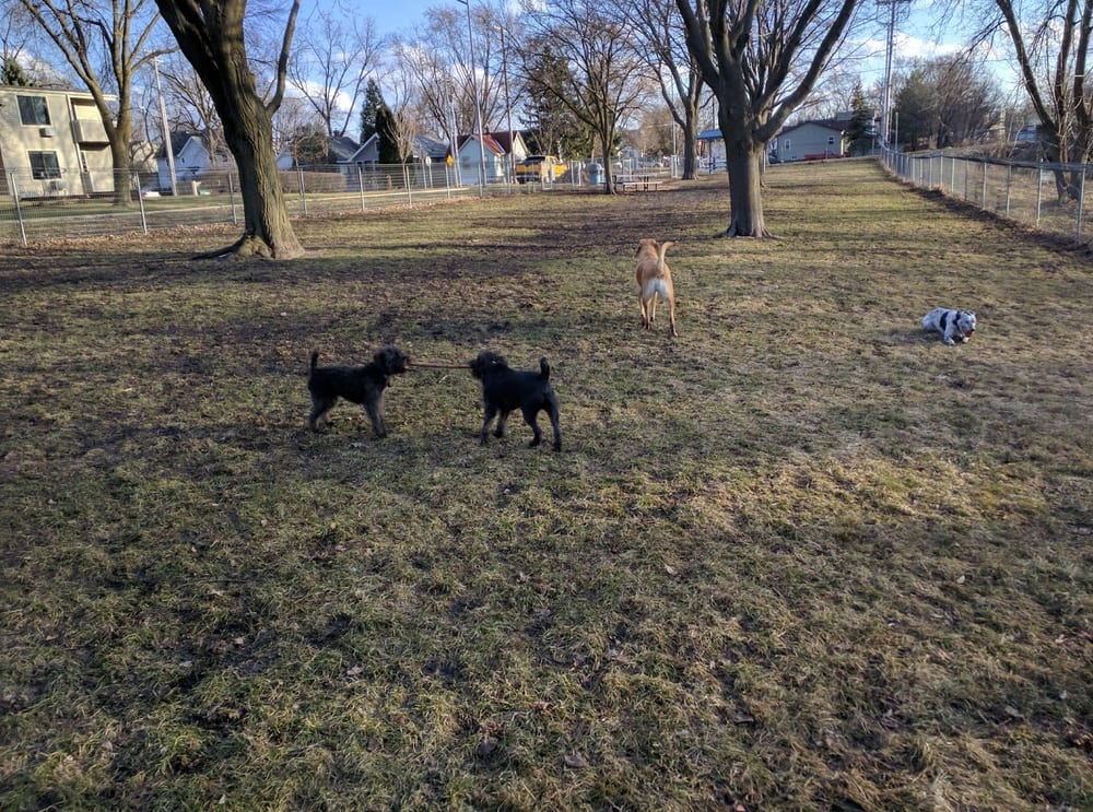 McCormick Park Dog Park, photo 2