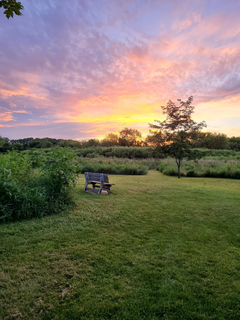 My Dog and Me, photo 3