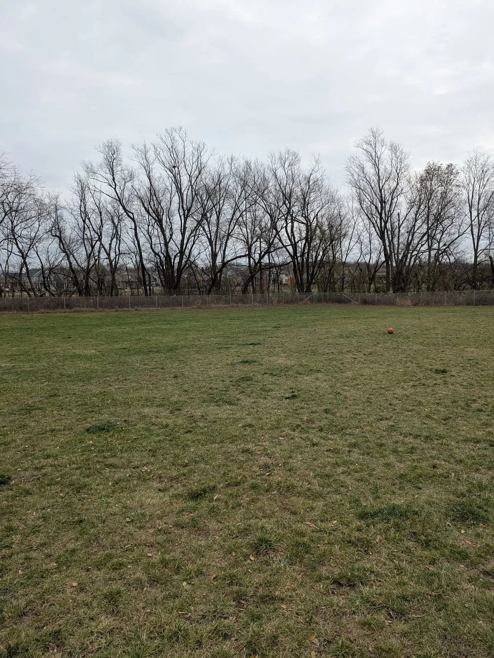 North Star Dog Park, photo 3