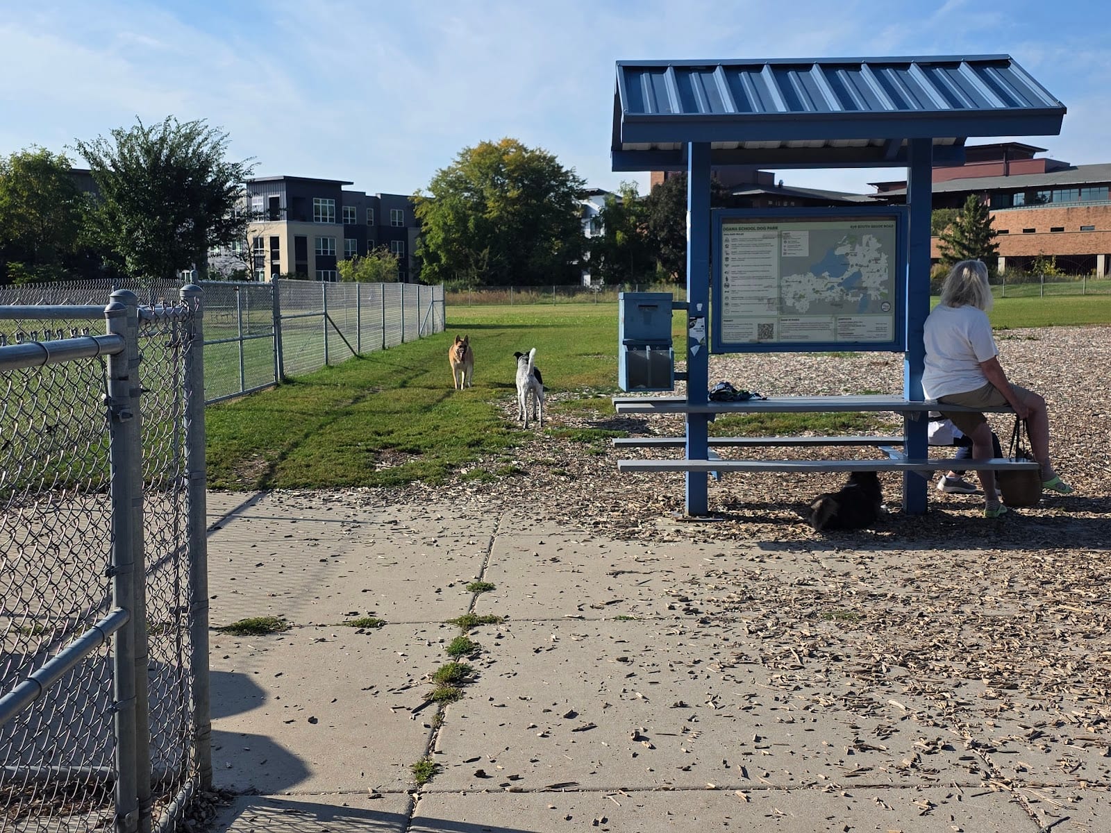 Odana School Park Dog Park