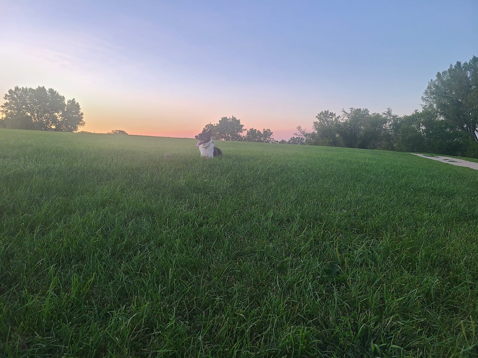 Sun Prairie Dog Park