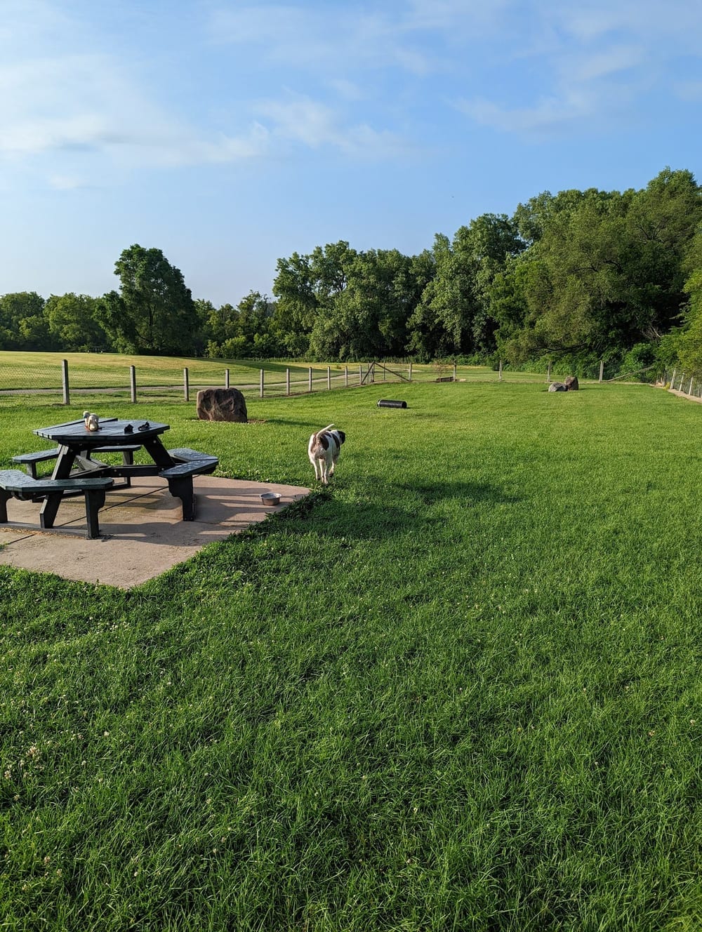 Sun Prairie Dog Park, photo 3
