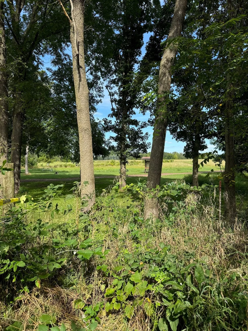 Token Creek Dog Park, photo 3