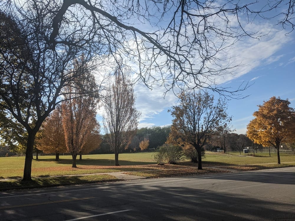 Walnut Grove Park Dog Park, photo 2