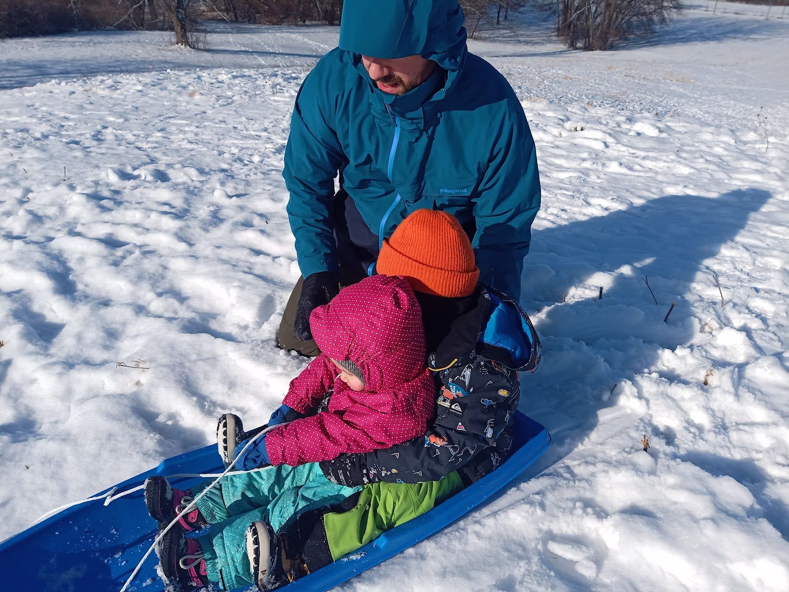 Warner Park Dog Park