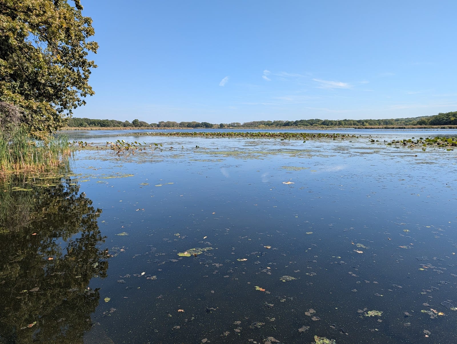 Yahara Heights Dog Park