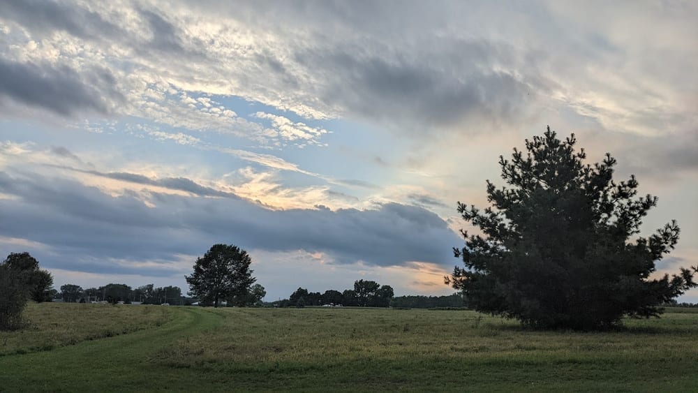 Yahara Heights Dog Park, photo 2