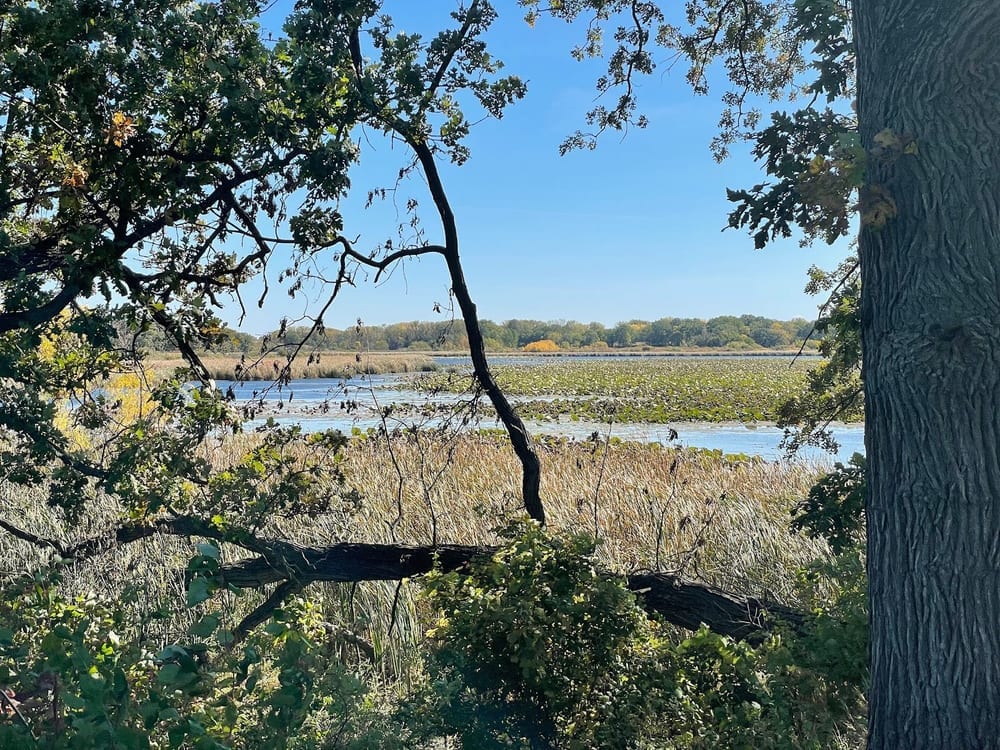 Yahara Heights Dog Park, photo 3