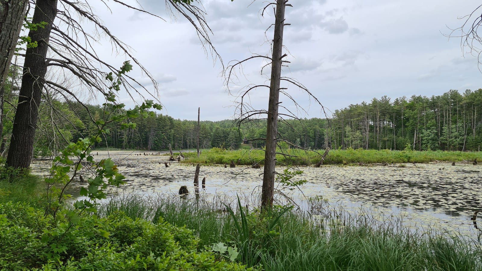 Wasserman Park, photo 2