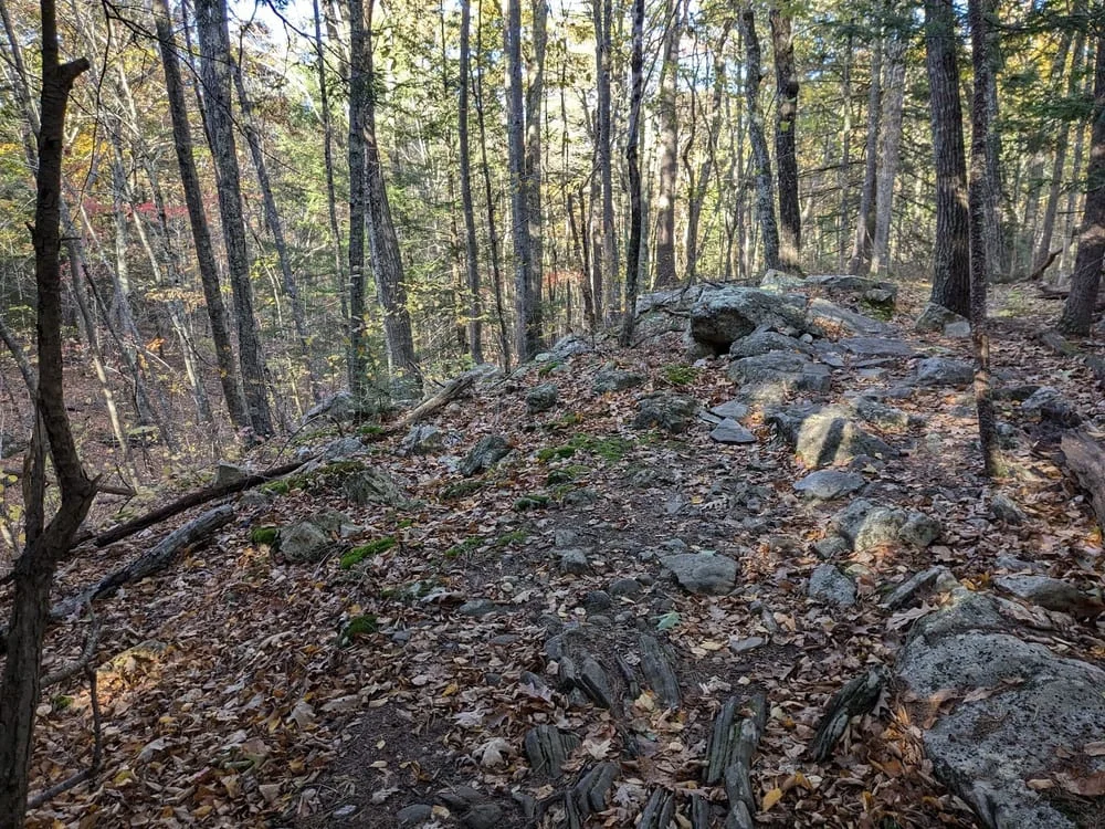 Wasserman Park, photo 3