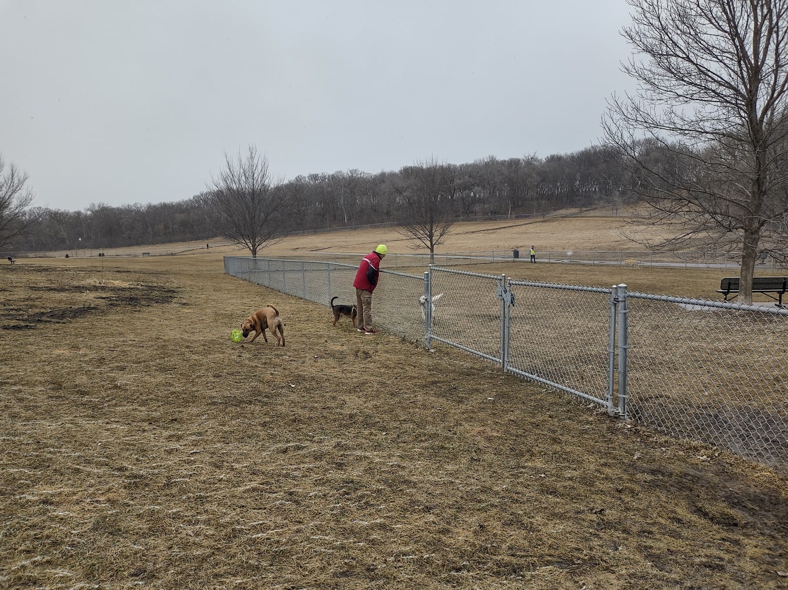 Andy's Bark Park