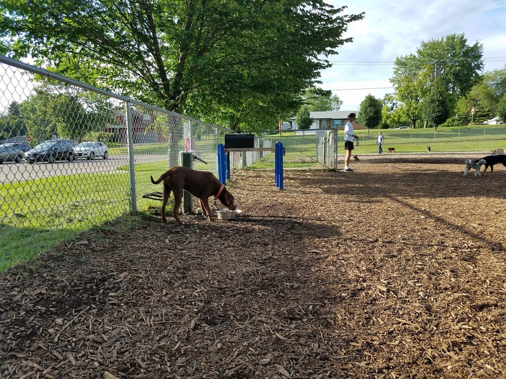 Bassett Creek Dog Park