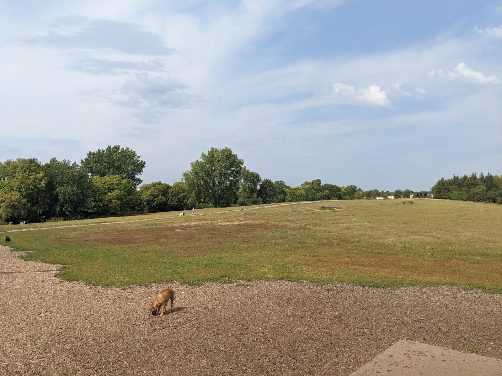 Bloomington Off-leash Dog Park, photo 2