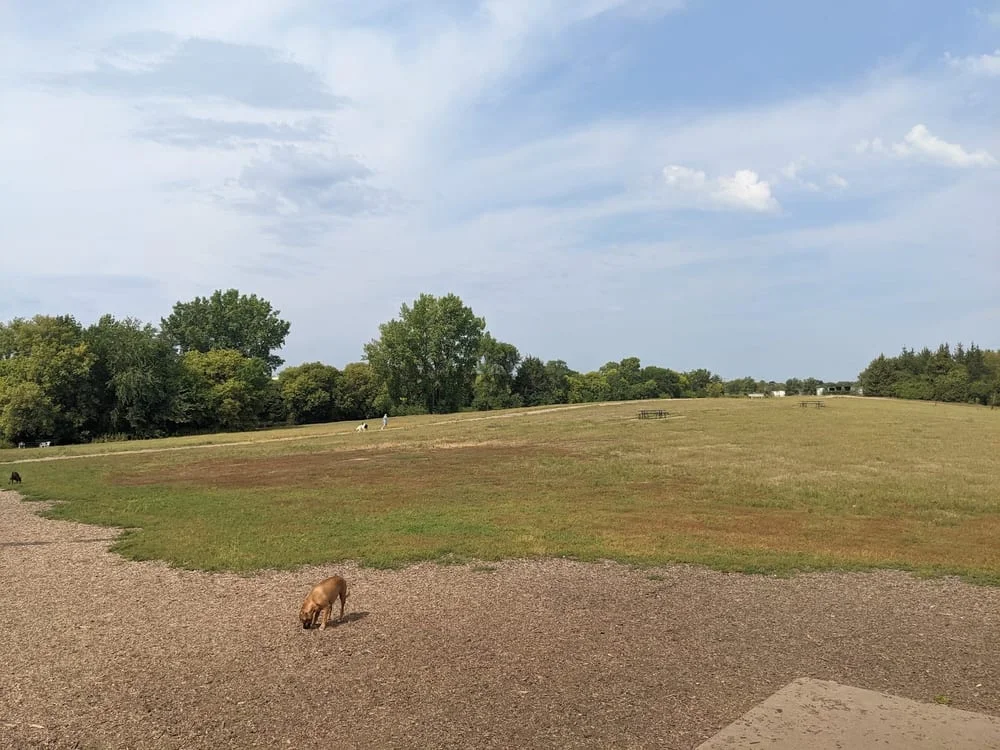 Bloomington Off-leash Dog Park, photo 3