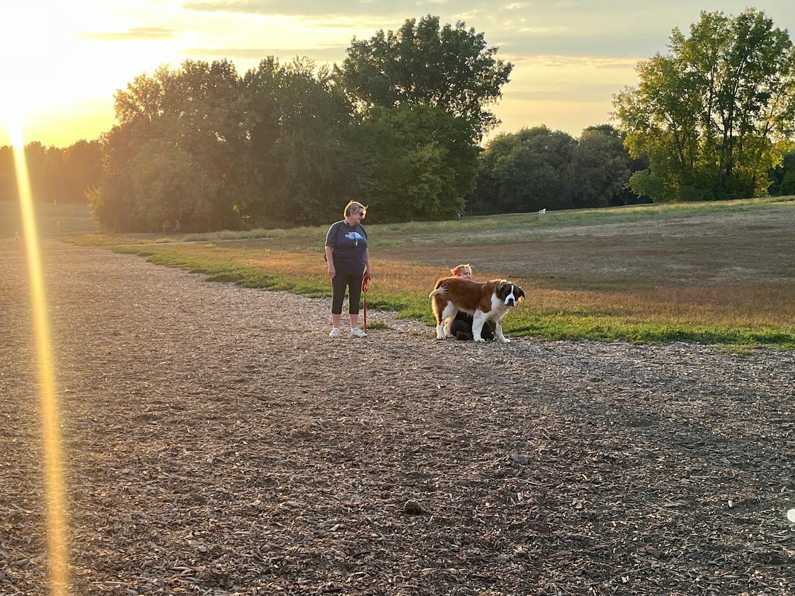 Bloomington Off-leash Dog Park, photo 3
