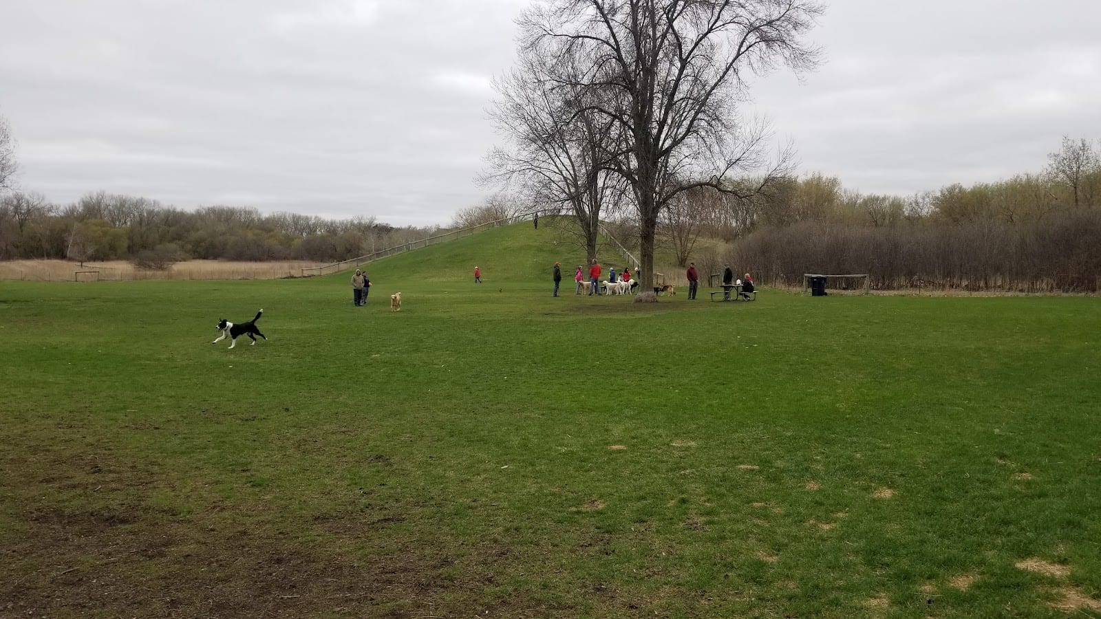 Brookdale Park & Dog Park, photo 3