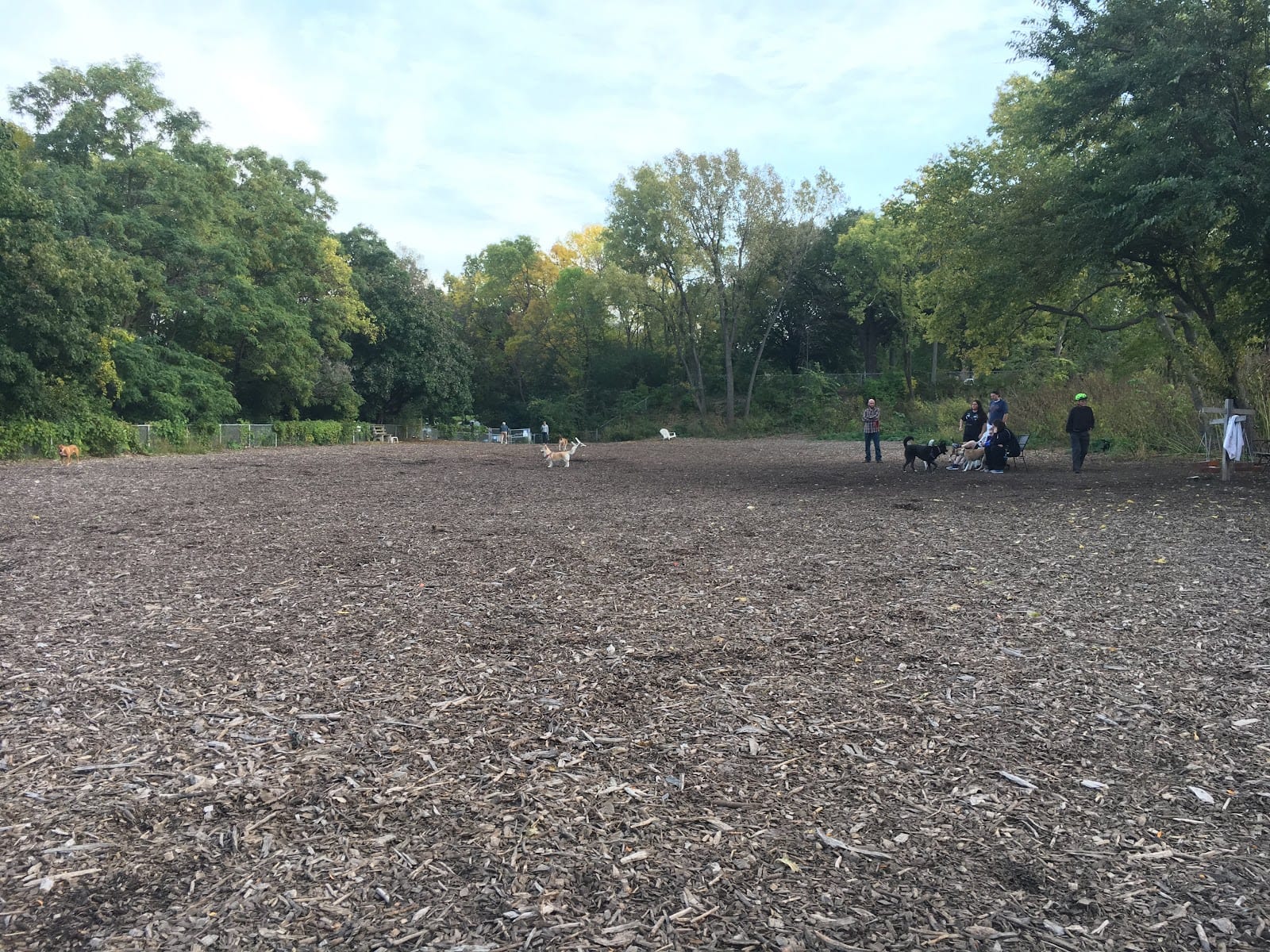 Franklin Terrace Off-Leash Dog Park, photo 3