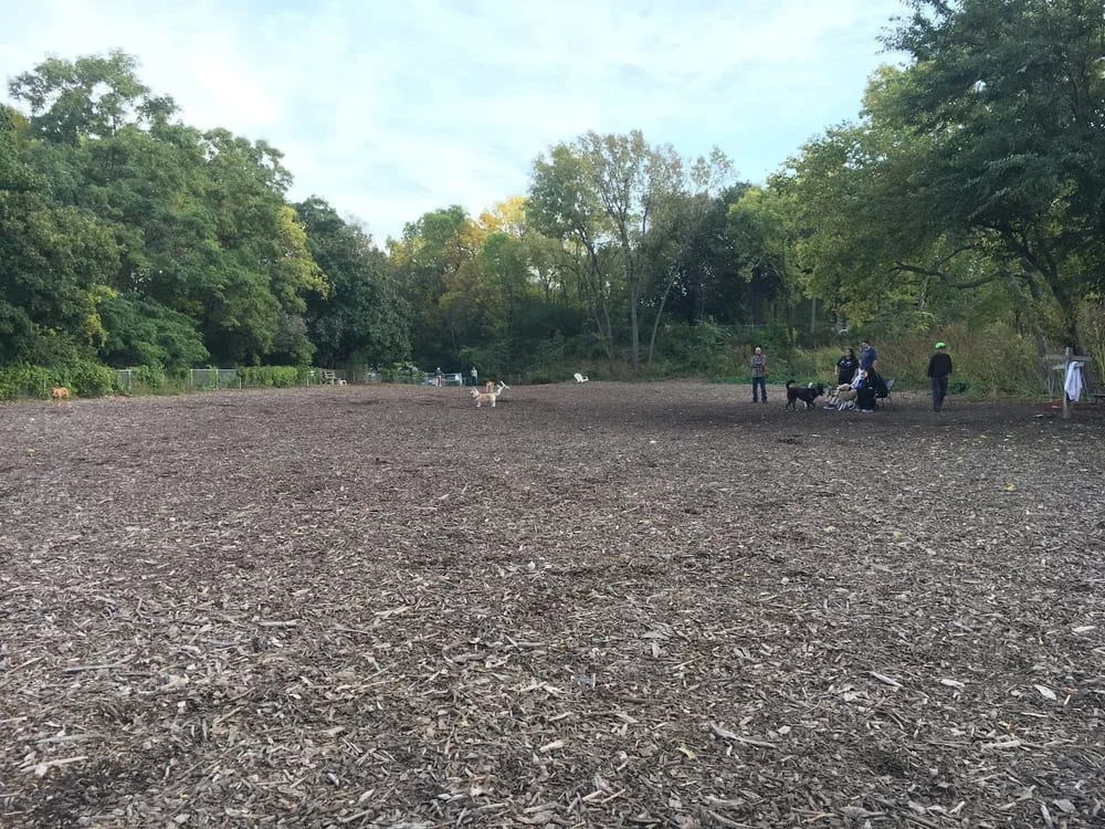 Franklin Terrace Off-Leash Dog Park, photo 3