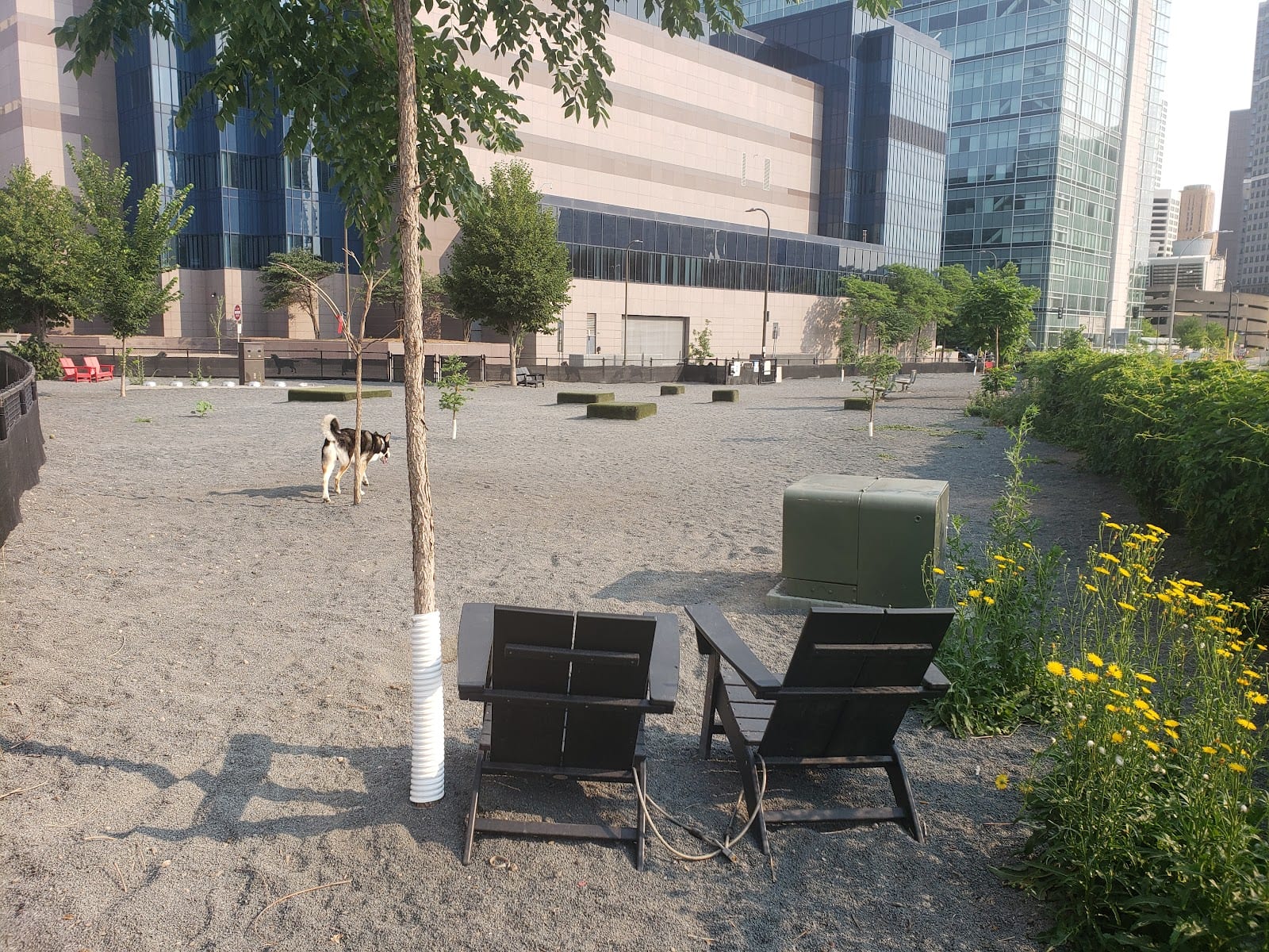 Gateway Dog Park, photo 2